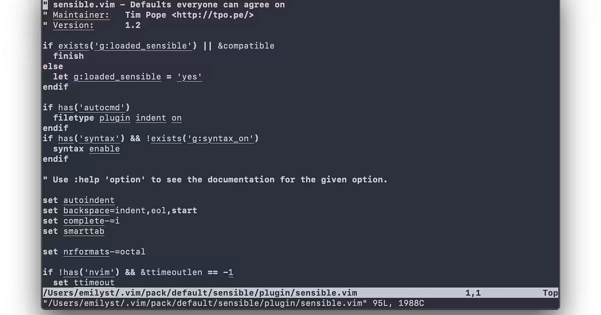 Vim in the Future – Emily St＊