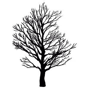 A Ruby native extension implementing the R-tree spatial index of Guttman-Green