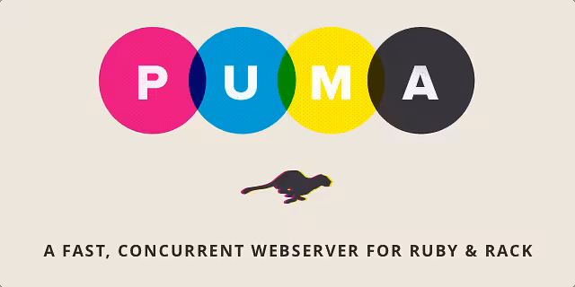 Puma 6 