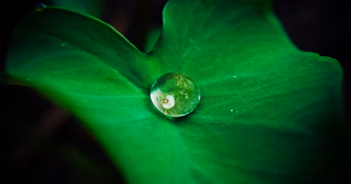 Clean Architecture in Ruby v2 