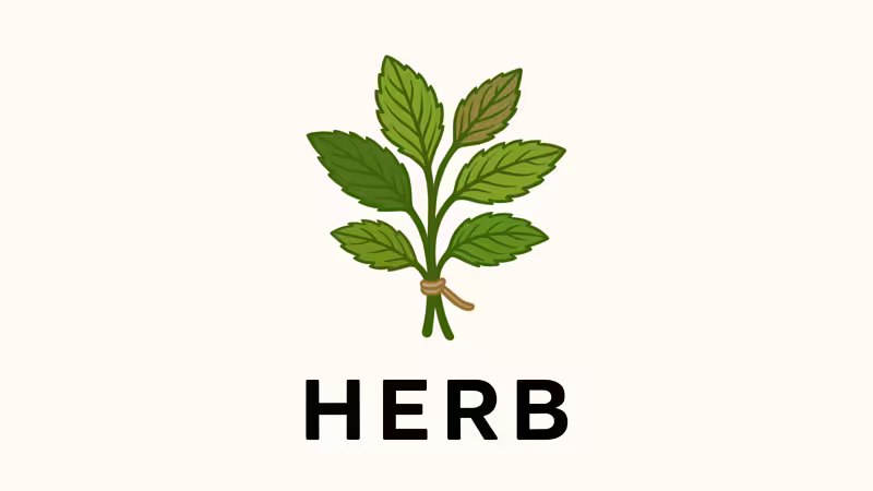Introducing Herb: A new HTML-Aware ERB Parser for smarter developer tooling | Marco Roth