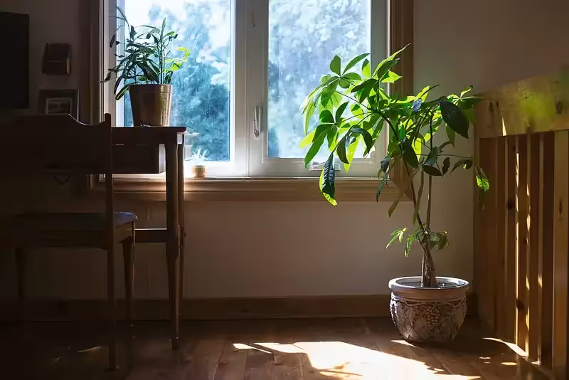 Thoughts on Freelancing for Web Developers