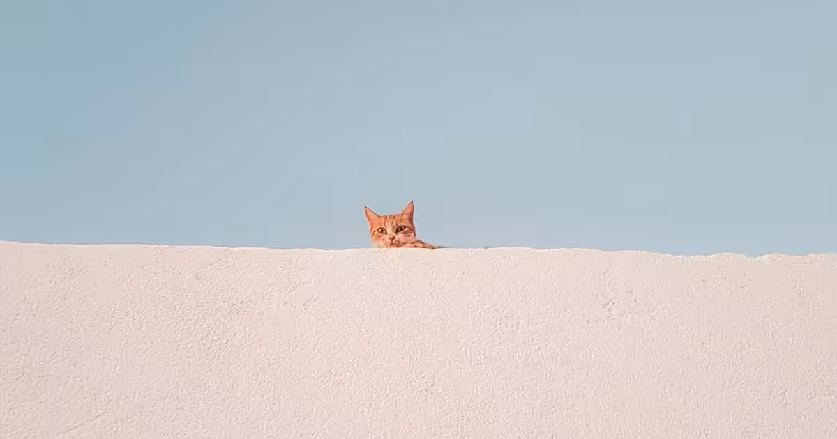 Easy to Overlook PostgreSQL Performance Issues in Rails Apps