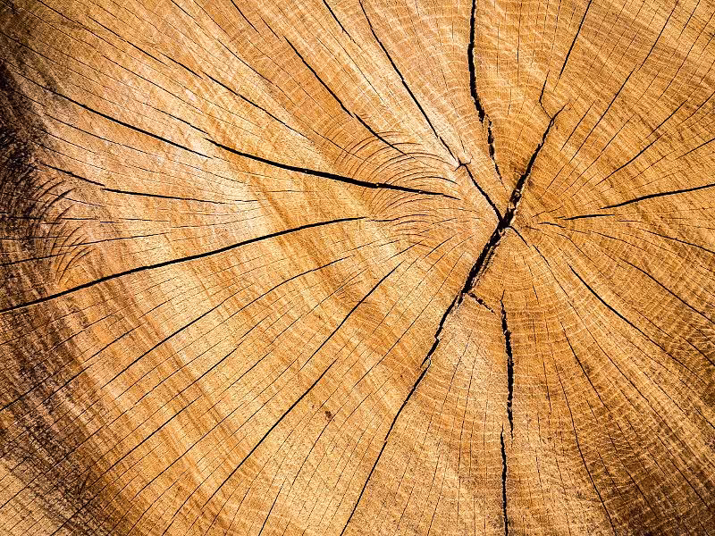 Validate and Fix Ruby on Rails ActiveRecord PostgreSQL Data Integrity