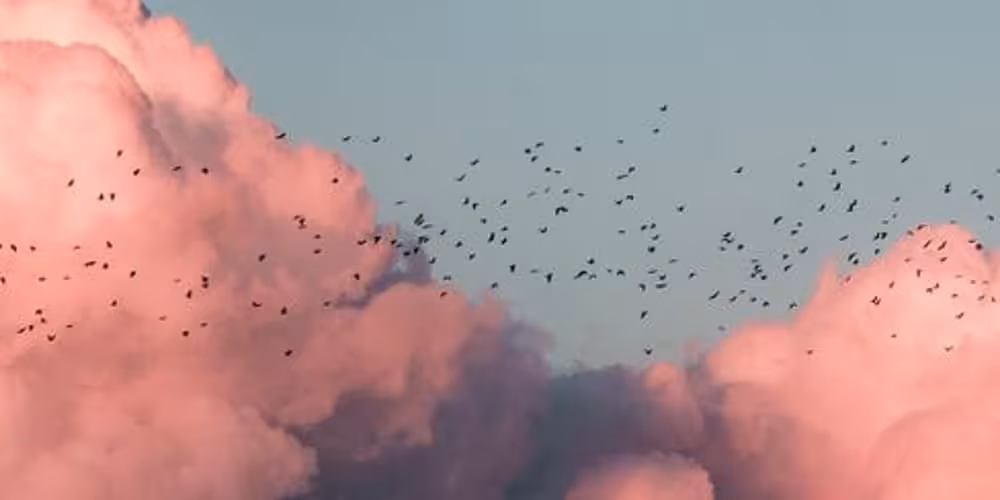 Migrations and Changes 